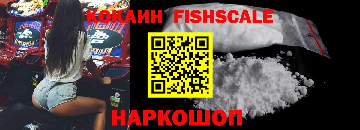 КОКАИН Эквадор  Вход с VPN  Алейск  Cocaine FishScale 