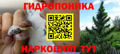стафф Уссурийск