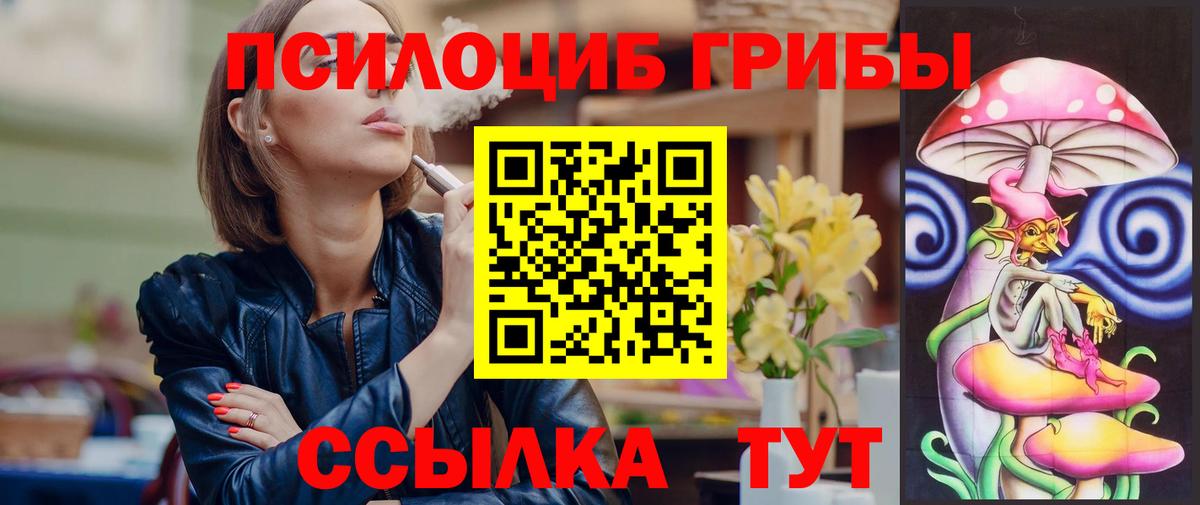 Галлюциногенные грибы Cubensis Алейск